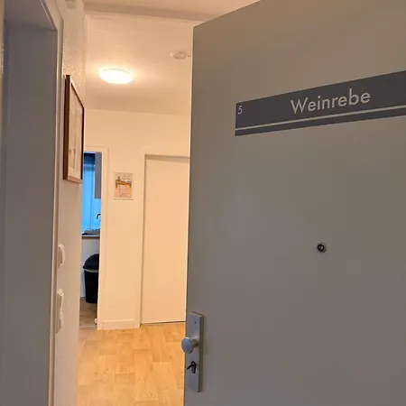 Daire Weinrebe Oppenheim