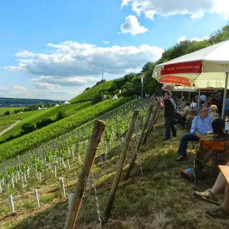 Weinrebe *